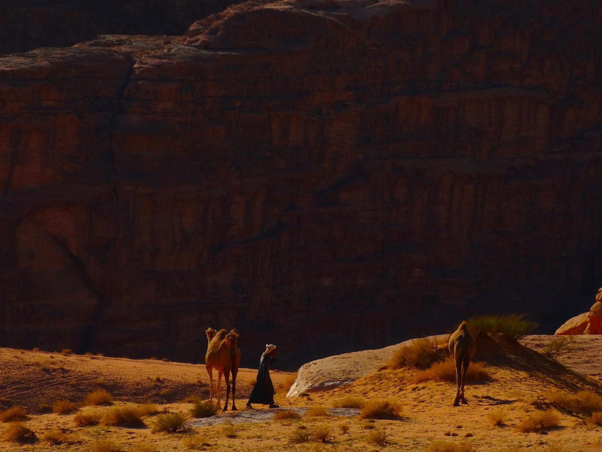 Wadi Rum View Camp المظهر الخارجي الصورة