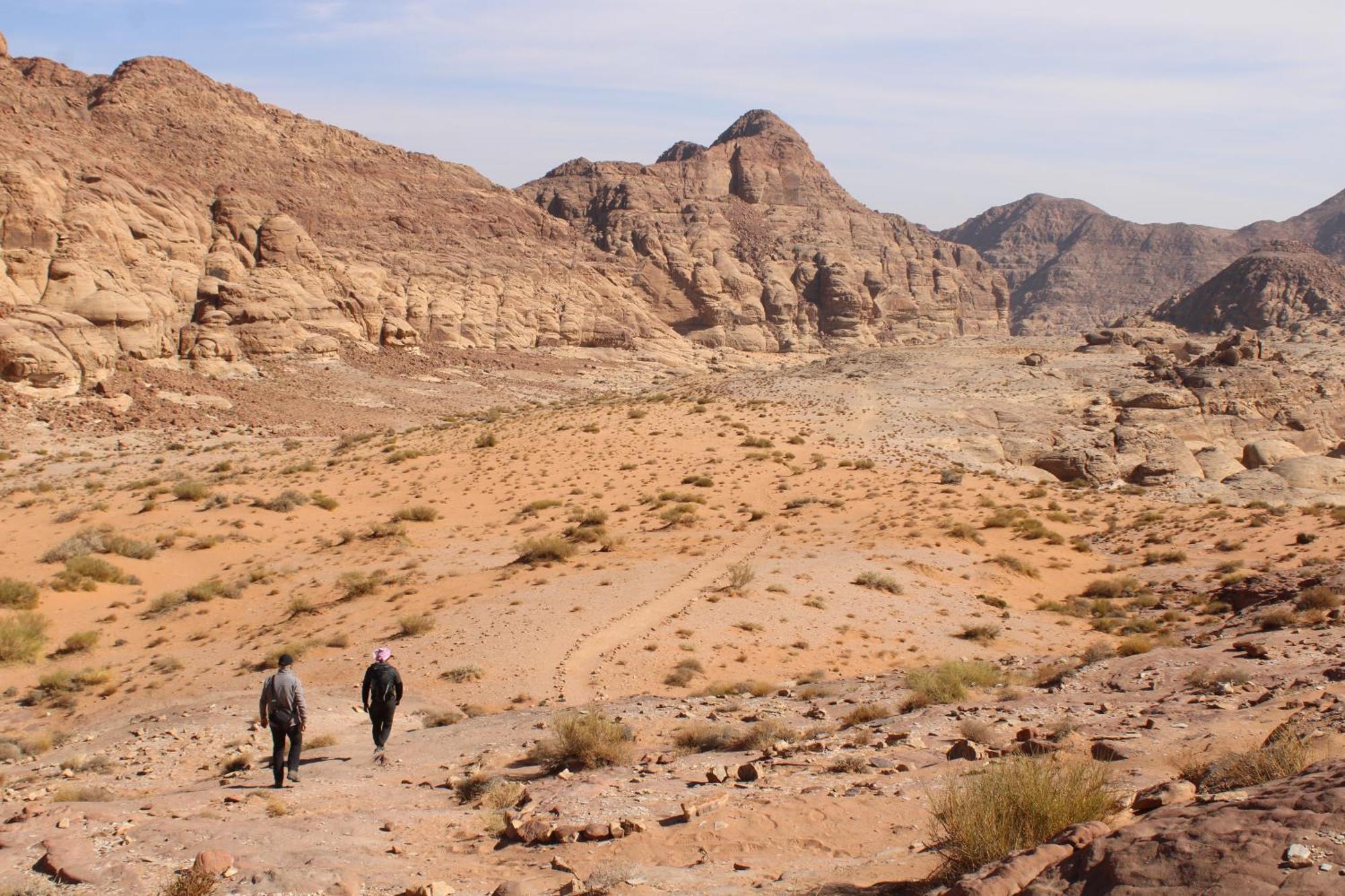 Wadi Rum View Camp المظهر الخارجي الصورة